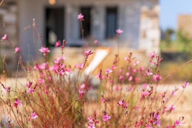Beach House Antiparos Exterior foto